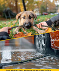 Heavy Duty Three Eighths Inch Pressure Washer Hose 200 Feet Long, 4800 PSI Rated, Steel Wire Braided near playful dog