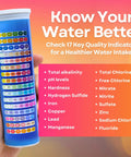 All In One Water Test Kit With 125 Strips For Home Tap And Well Water Quality Check Detects Hardness Lead Iron pH Copper Fluoride Chlorine And More With Fast Easy Accurate Results. 125-strip tube with color chart