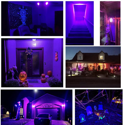 Collage of homes and rooms lit with purple Halloween lights and decorations at night, showcasing spooky themed lighting ideas.