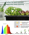 Indoor Grow Cabinet With Five Tier Shelves And Eight Full Spectrum Grow Lights 6000K showing seed starting setup with plants