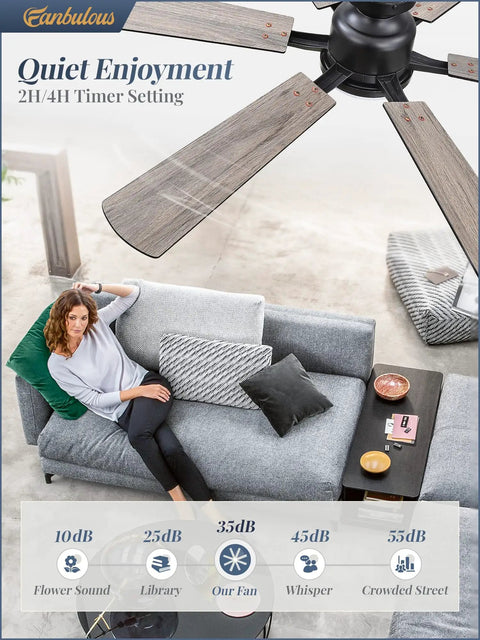 Living room setup with 52 Inch Ceiling Fan With Lights, App And Remote, Flush Mount Low Profile Black Ceiling Fan, 6 Blades