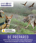 Small dog with Protective Pup Pad For CoyoteVest Or SpikeVest Harness Add On Stab Resistant Shield against eagle and coyote