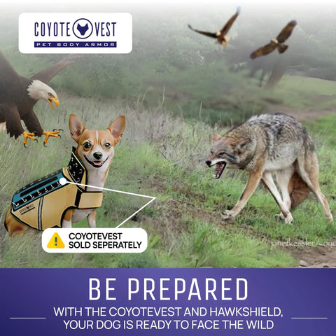 Small dog with Protective Pup Pad For CoyoteVest Or SpikeVest Harness Add On Stab Resistant Shield against eagle and coyote