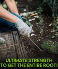Person using Eco Dandelion Weeder Tool with Ergonomic Wood Handle for Easy Root Removal in Lawns and Gardens