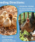 Group of chicks and a hen with eggs, feeding directions for 10Lb Dried Black Soldier Fly Larvae For Chickens Calcium Packed Poultry Treat