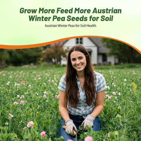 Woman in a field of Austrian Winter Peas Seeds For Planting 10 Lb Bag Cool Season Cover Crop High Protein Deer Food Plot Seed