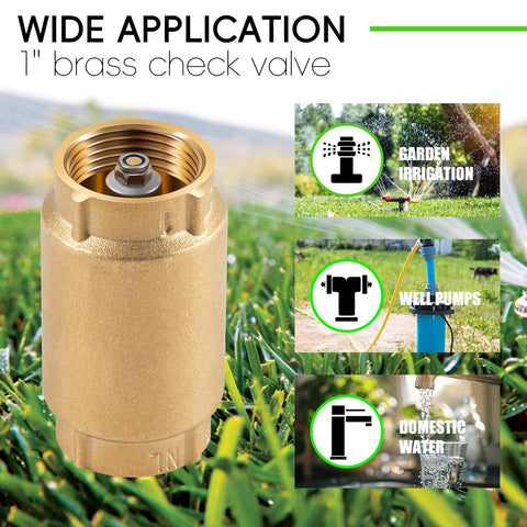 Front view of brass 1-inch check valve with backflow preventer and 1 in FNPT connections