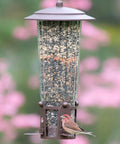 Squirrel Be Gone Max Bird Feeder With Four Flexport Feeding Stations No Fuss Weight Activated Squirrel Proof Metal Hanging Feeder For Outdoors With Ladder Style Perches And Four Pound Seed Capacity hanging on a tree with a small bird feeding
