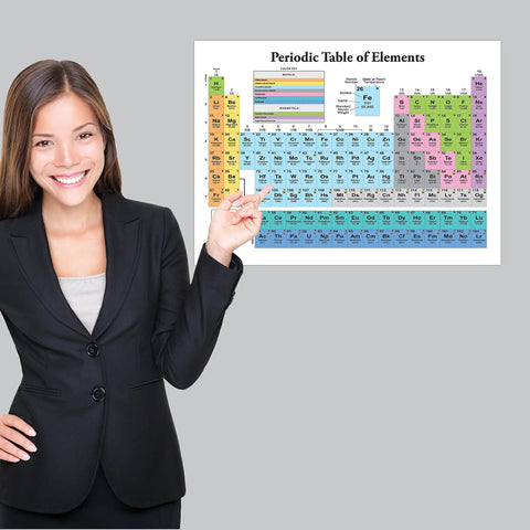 Three Pack Periodic Table Poster And Muscular And Skeletal System Anatomy Charts 18 By 24 Inches Each Laminated Tear Resistant Classroom Posters For Totally Easy Study And Quick Reference