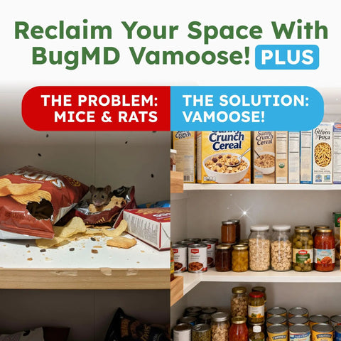 Vamoose Plus Peppermint Oil Mouse Repellent Pouches showcase before and after pantry scenes with rodent activity and organized food.
