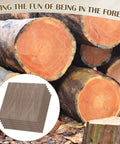 12 pcs walnut unfinished plywood sheets, 12 x 12 x 1/8 in, Amazon brand
