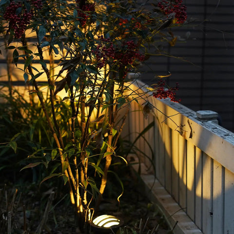 Low Voltage Well Lights Outdoor LED Landscape Kit 4W 200 Lumen In Ground Lighting Weatherproof 12V Warm White 2800K illuminating plants