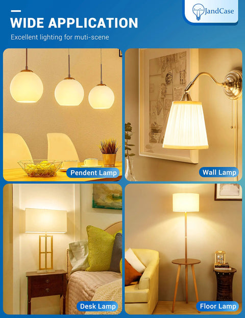 Various lamp types, including pendant, wall, desk, and floor lamps, showcasing excellent lighting for different settings.