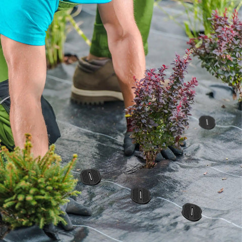 Installation of Heavy Duty U Shaped Galvanized Landscape Fabric Pins 200 Pack 6 Inch Garden Stakes on ground cover