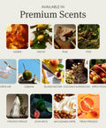 Premium scents for Top Shelf Wood Car Air Freshener Refill, showcasing amber, teak, coconut, and apple picking options.