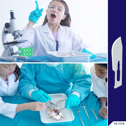 Dermaplaning Scalpel Blades Sterile Pro Grade High Carbon Steel Dermablade Size 22 used in scientific classroom lab.