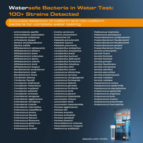 Water safe Bacteria in Water Test label listing 100+ bacteria strains detected for Heavy Duty Bacteria Water Test Kit For Drinking And Well Water Quick E Coli Detection Lab Grade Results In Six Hours Two Pack USA Made Zero Sweat Water Testing That Gets Things Done Fast.