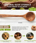 Premium Italian Olive Wood Ladle Kitchen Spoon That Totally Slaps With 12 Inch Long Handle And Deep Bowl Head For Cooking Soup shown with dimensions.