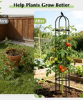 Garden Trellis Obelisk For Climbing Plants Outdoor 6.2 Ft Plant Support before and after use with tomato plant