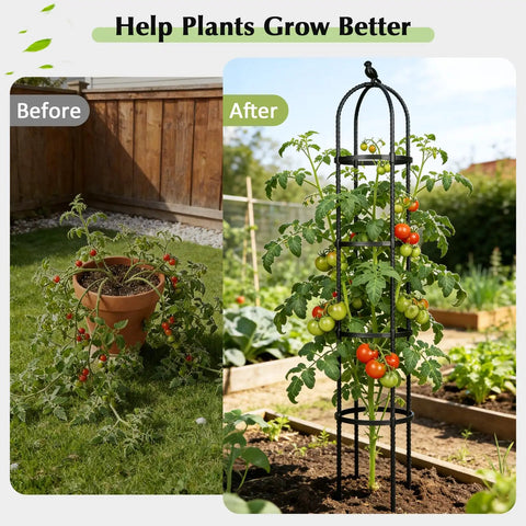 Garden Trellis Obelisk For Climbing Plants Outdoor 6.2 Ft Plant Support before and after use with tomato plant