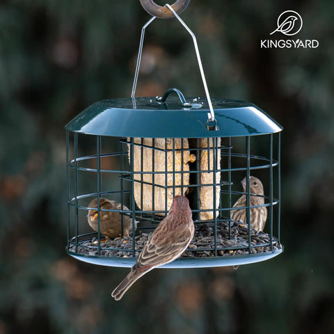 Squirrel Proof Suet Feeder For Outdoors Hanging All Metal Cage Bird Feeder With Double Suet Cake Capacity Tray And Weatherproof Green Finish