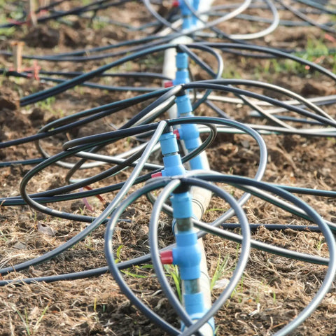 1640 Feet One Quarter Inch Drip Irrigation Tubing Kit For Garden And Lawn No Fuss Setup Drip Line on garden bed
