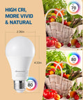 Four Pack A19 Dimmable LED Light Bulbs, 2700K Warm White, 800 Lumens, size comparison, high CRI for vivid colors.
