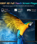 A vibrant parrot on Android 13 MP3 Player With Bluetooth And WiFi, 5 Inch HD Display, 1080P MP4 Player screen showcasing color display
