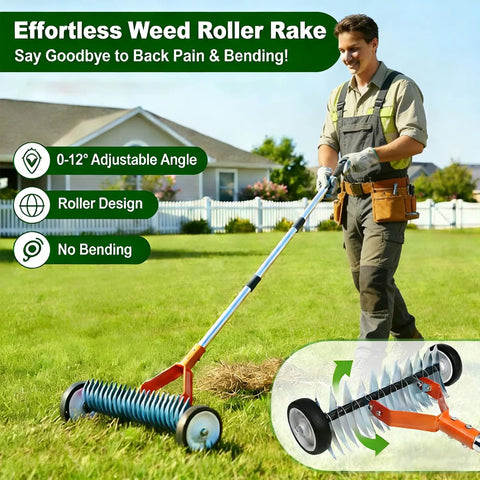 Person using Wheel Equipped Adjustable Thatch Rake With No Backache Dethatching On Lawns, 38 To 65 Inch Handle, in garden