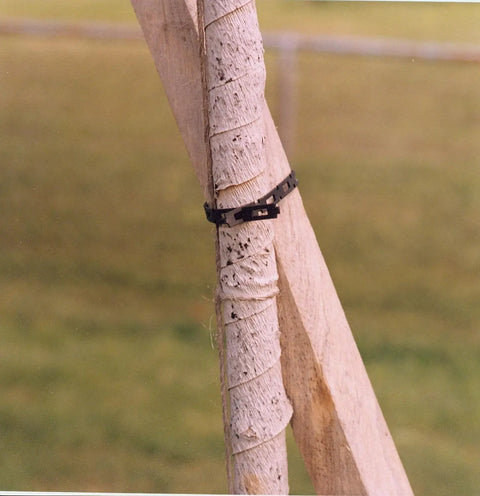 Beefy Heavy Duty 1/2-Inch Black Cable Ties Roll 100-Feet securing tree branches with plastic tie in outdoor setting