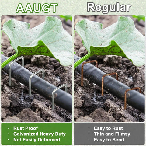 Comparison of Heavy Duty Tough As Nails 11 Gauge 6 Inch Landscape Staples Pack Of 100 Galvanized U Shaped Sod Pins next to rusty staples
