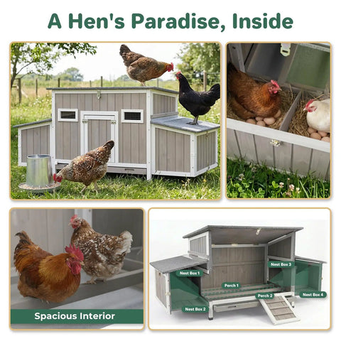 Ultimate 62 Inch Chicken Coop For 2 To 4 Chickens With Four Nesting Boxes Roosting Bars Openable Waterproof Roof Lockable Doors And Pull Out Tray Weatherproof Outdoor Fir Wood Hen House With Lockable Ladder Door Ramp Security displayed with chickens.