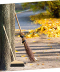 Straight Up Solid Horsehair Broom With Long Grippy Handle And Soft Pine Bristles for sweeping outdoor leaves.