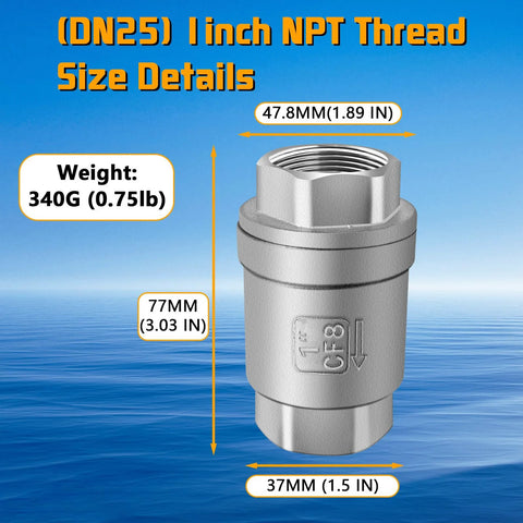 Boltigen 1-inch spring check valve, 304 stainless CF8 inline water non-return valve for well/pump by Amazon