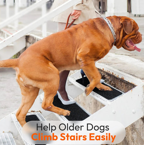 Person and dog using Non Slip Stair Treads For Indoor Outdoor Use Waterproof Grip Tape For Wood Concrete Metal Steps Weatherproof Anti Slip Tape Heavy Duty 6x24 Inches 5 Pack Safe Traction For Pets And Family.