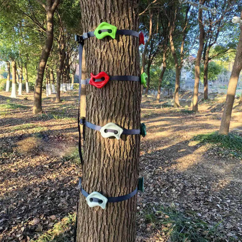 16 Piece Kids Climbing Rocks Set With Zip Line Accessories Non Slip Tree Rock Holds installed on a tree in a forest setting