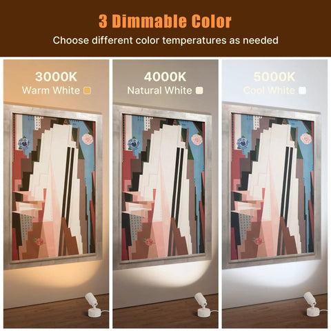Dope 5W LED Indoor Spotlight Kit With Remote Dimmable And Timer 3 CCT Uplighting For Plants Artwork Photos And Accent Walls display