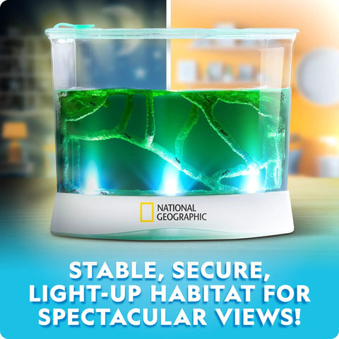 Light Up Ant Habitat Kit For Kids With Magnifiers Totally Hands On Science Toy For Curious Minds Watch Ants Build Tunnels In A Safe Gel Terrarium Explore Lighting Temperature And Location To See What Helps Them Thrive, clear gel terrarium with lit tunnels