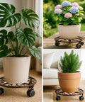 Three Pack Heavy Duty Metal Plant Caddies With Wheels 13.5 Inch Rolling Plant Stand Dollies displaying potted plants indoors and outdoors.