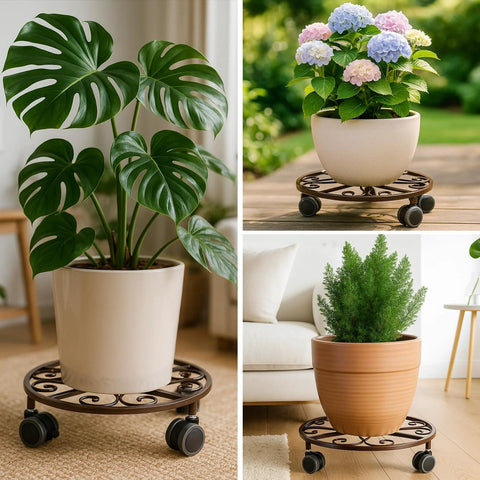 Three Pack Heavy Duty Metal Plant Caddies With Wheels 13.5 Inch Rolling Plant Stand Dollies displaying potted plants indoors and outdoors.