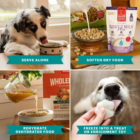 Human Grade Instant Goat Milk Powder Loaded With Probiotics To Settle Doggos And Kittens Tummies While Kickstarting Gut Health Perfect For Mixing Into Any Scoop As A Snappy Daily Nutrition Boost For Happy Fur Families 5.2 Ounces, dog enjoying goat milk.