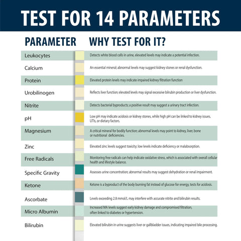 14 Parameter Urine Test Strips Full Panel For Home Health Check 100 Count Bottle, infographic of urine strip parameters