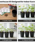 Touch Me Not Mimosa Pudica Plant Kit Interactive Zombie Plant Grow Kit with seedlings in pots and seed packets