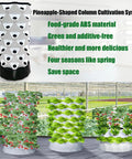 Vertical Hydroponics Tower Kit For Indoor And Outdoor Gardens, Space Saving Home Farm System with plants, Pineapple shape