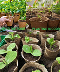 100 Pack Peat Pots 3.15 Inch Seed Starter Planters For Flowers, Vegetables, Tomatoes And Herbs, Biodegradable Nursery Pots