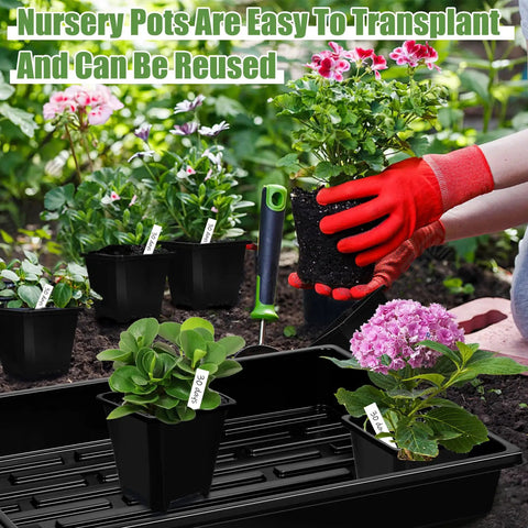 Gardener transplanting flowers with 5 Piece Seed Starter Tray Kit With 60 Square 3.5 Inch Pots, No Drain Holes On Trays, Includes 60 Plant Tags