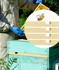 12 Pack Wooden Beehive Entrance Reducers For 10 Frame Hives in use by beekeeper with blue gloves near hive boxes