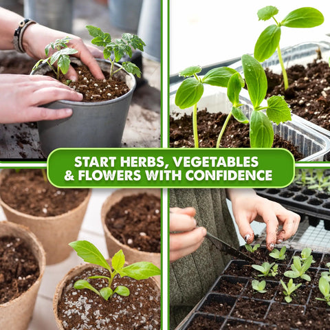 Ready To Use Seed Starting Soil Mix With Coco Coir, Perlite, Vermiculite, And Worm Castings, 8 Dry Quarts, Peat Free 4-In-1 Blend For Germination And Seedlings
