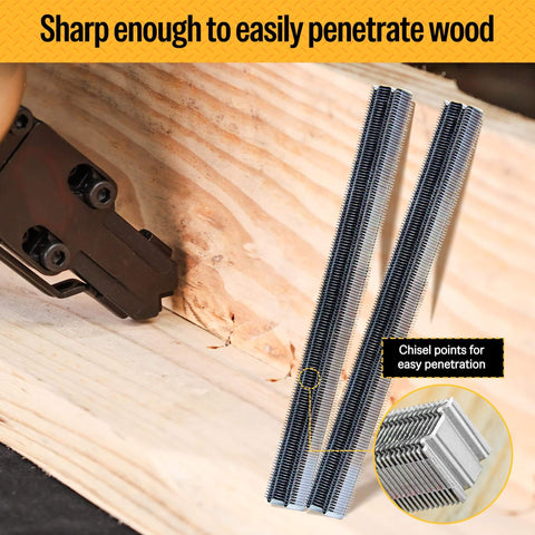 Corrugated W Staples Fasteners One Half Inch Crown By Three Eighth Inch Length Micro Corrugated Staples, Fourteen Thousand Count Box shown penetrating wood with standard staple gun, bright basic finish.