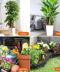 Terracotta Self Watering Stakes Pack Of 15 For Indoor And Outdoor Plants Automatic Waterer installed in various settings